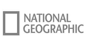 New National Geographic Logo Juliet Funt.png